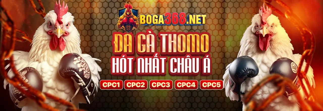 Khuyến Mãi Hấp Dẫn km88 2026